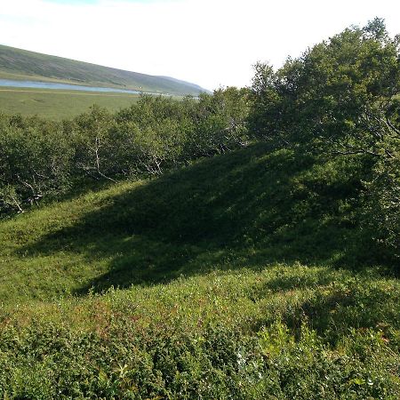 Hlitharendi Guesthouse Godafoss Екстер'єр фото