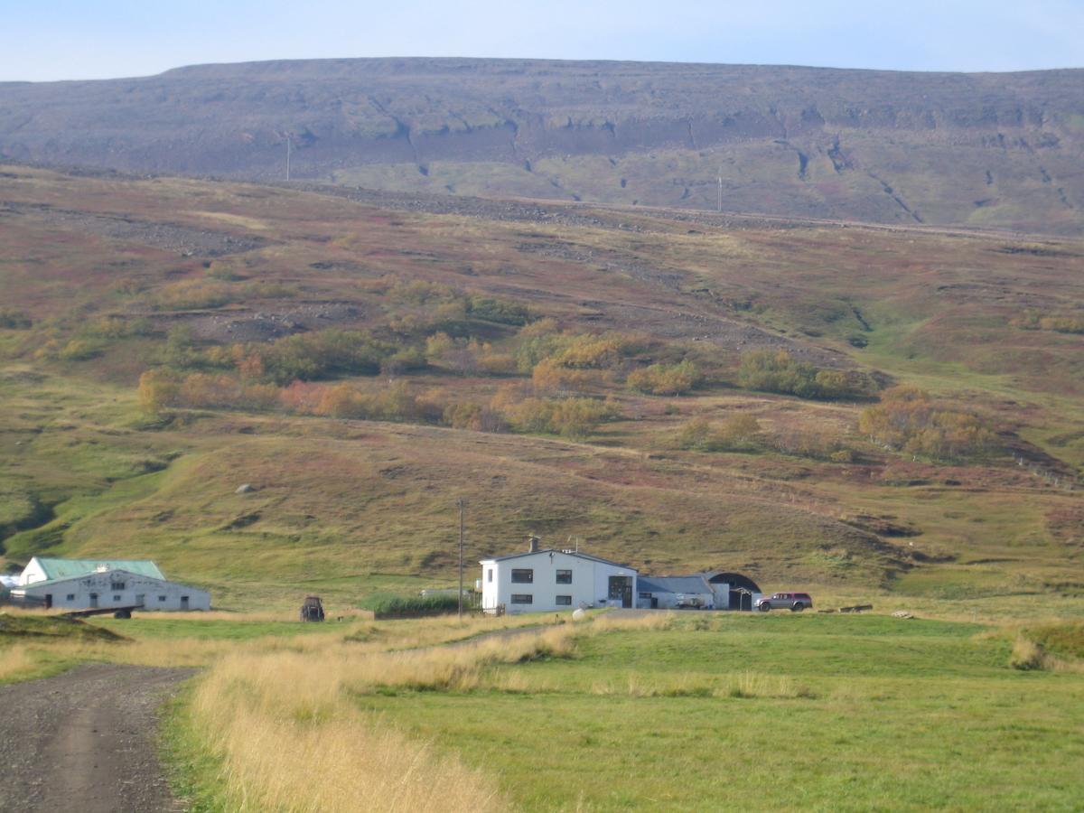 Hlitharendi Guesthouse Godafoss Екстер'єр фото